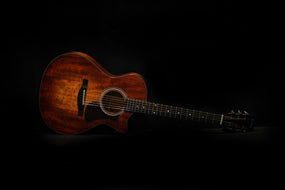 Eastman Guitars AC108CE-LTD Acoustic Guitar
