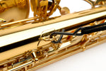 Rico Padded Saxophone Strap, Tenor/Baritone, Metal Hook - SLA12