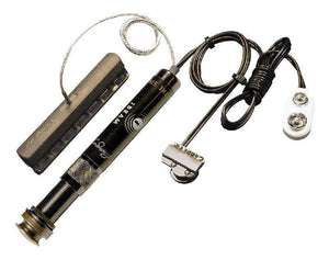 LR BAGGS IBEAM DUAL CHANNEL SYSTEM