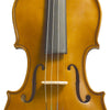 Stentor Violin Outfit Student 1 4/4 Solid Tonewoods,Maple back,ribs and neck. Spruce front, Rosewood fingerboard,Rosewood pegs,