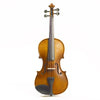 Stentor Graduate Violin Outfit  4/4 Solid Toneowoods,  Carved Spruce front, Carved Maple back,ribs and neck.Ebony fingerboard and pegs. Synthetic Gut strings.