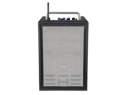 EAE A2-5 Acoustic Amplifier