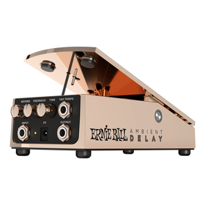 Ernie Ball AMBIENT DELAY (P06184)