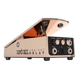 Ernie Ball AMBIENT DELAY (P06184)