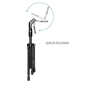 D&A Starfish  - SS-0100