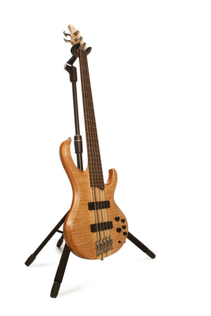 D&A Starfish  - SS-0100