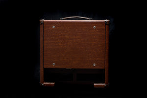 DVMark AC101 1x10” 250W