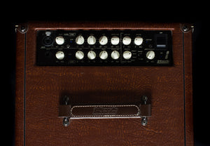 DVMark AC101 1x10” 250W