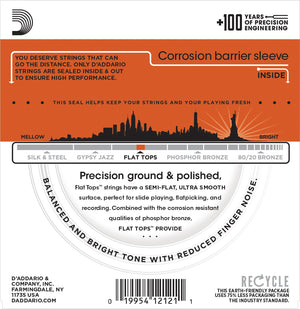 DAddario EFT13 16-56 Flat Tops Resophonic