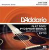 DAddario EFT13 16-56 Flat Tops Resophonic