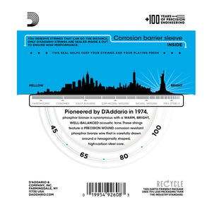 DAddario EPBB170 45-100